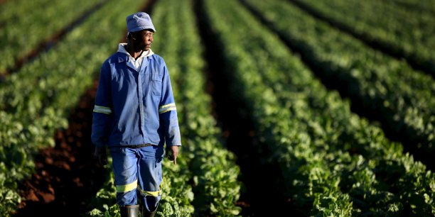 Devenir Agriculteur au Cameroun