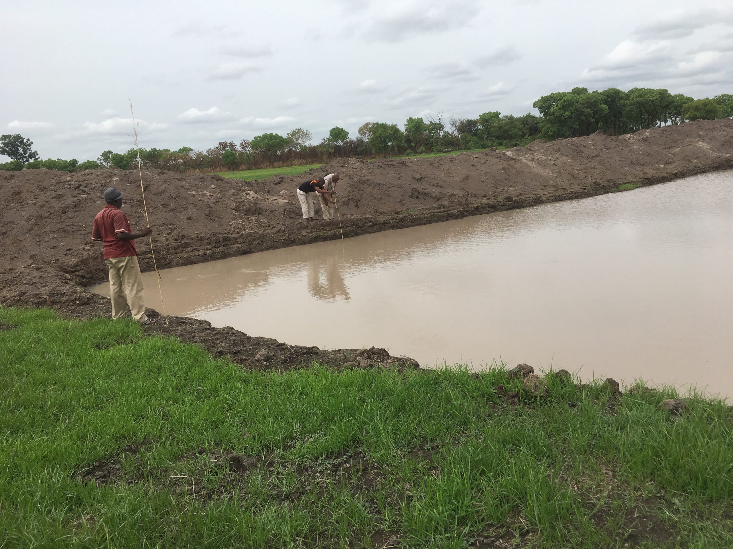 Alimentation en eau des étangs piscicoles