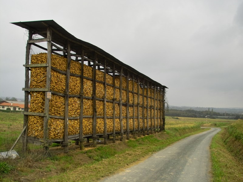 Stockage et conservation des grains en agriculture